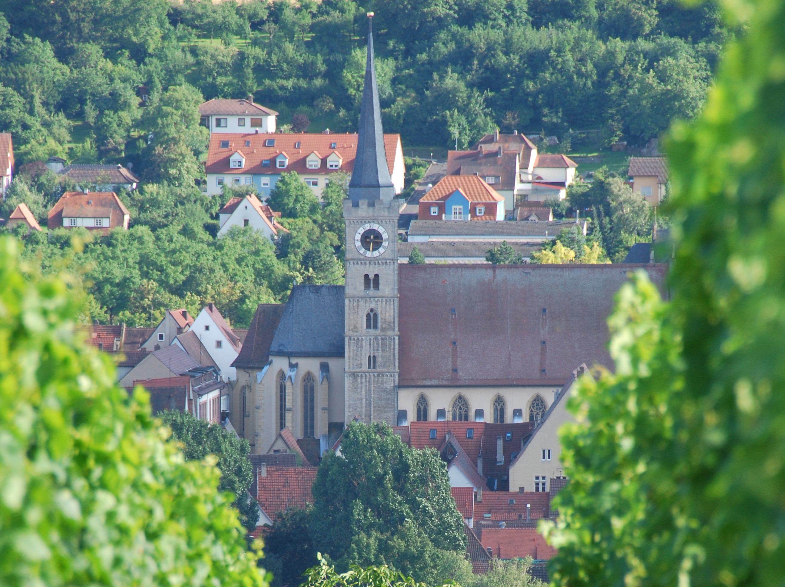 Weinberg in Kleinochsenfurt mit Blick auf Stadtpfarrkirche St. Andreas 